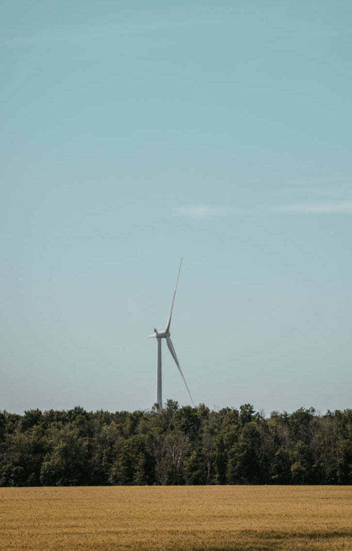 Duurzaamheid is een kernwaarde bij Lafii; we gebruiken eco-vriendelijke microvezel voor onze producten, met aandacht voor zowel het milieu als het welzijn van de klant.